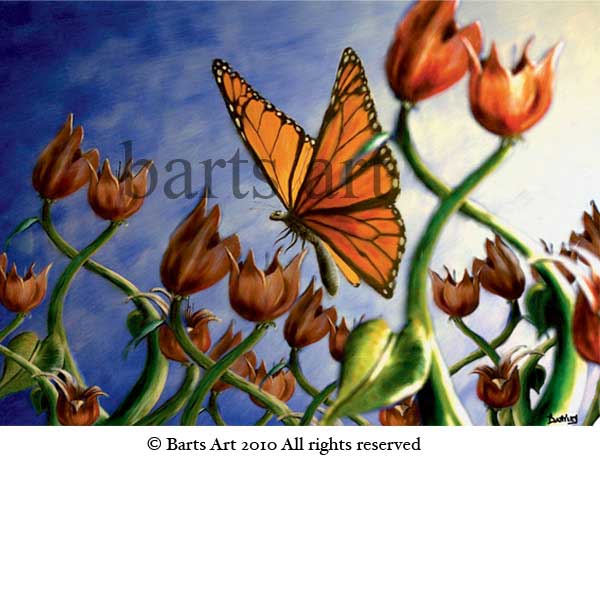 butterfly flower